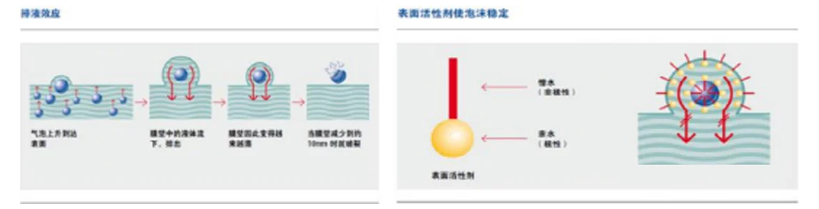Emulsifier stabilizing foam Emulsifier stabilizing foam