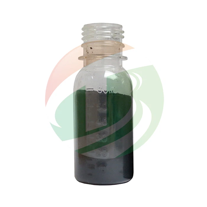 Graphite Oxide Powder