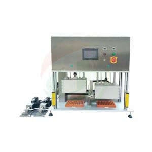 Vcuum Roj teeb Electrolyte Filling Tshuab