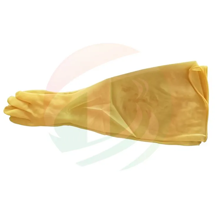 Hnab looj tes rau hnab looj tes