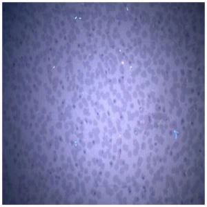 Graphene Zaj duab xis